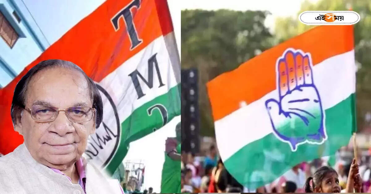 Congress News : কংগ্রেসকে লোকসভায় রাজ্যে কয়টি আসন ছাড়বে তৃণমূল? ডালুর মন্তব্যে জোর বিতর্ক – abu hasem khan chowdhury congress mp claims mamata banerjee will leave two seats in lok sabha election 2024
