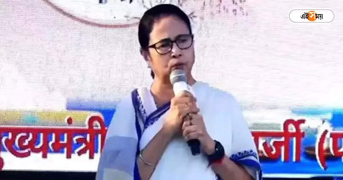 Mamata Banerjee : ‘প্ররোচনায় পা দেবেন না,’ গঙ্গাসাগরের গিয়ে বার্তা মমতার – cm mamata banerjee visits preparation of gangasagar mela 2024