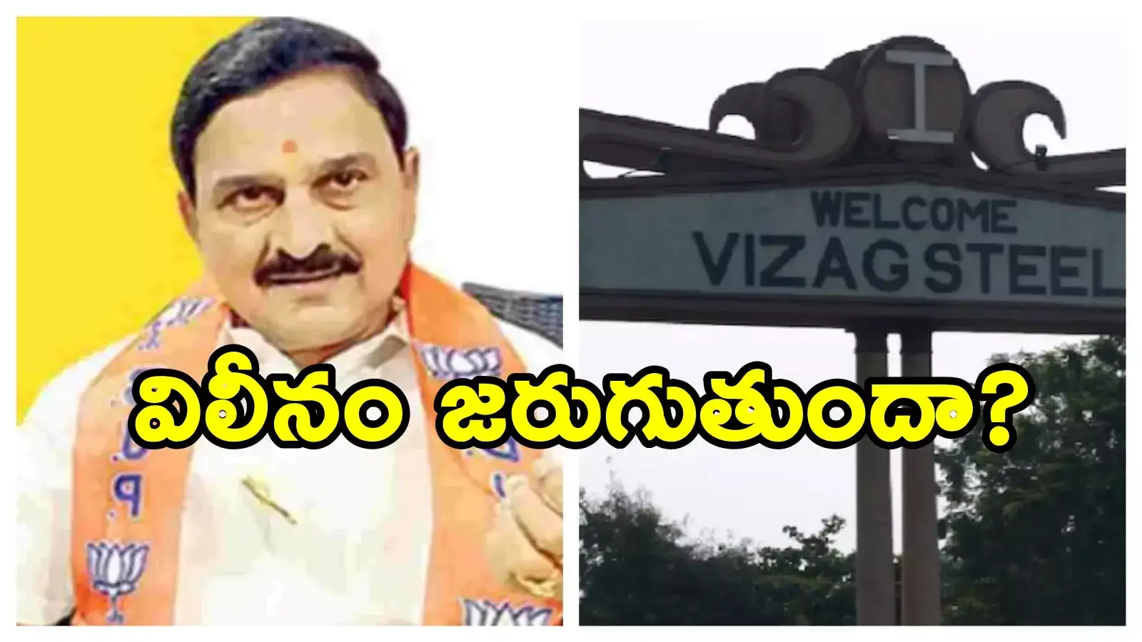 Vizag Steel Plant: సెయిల్‌లో స్టీల్ ప్లాంట్‌ విలీనంపై కేంద్ర మంత్రి కీలక వ్యాఖ్యలు