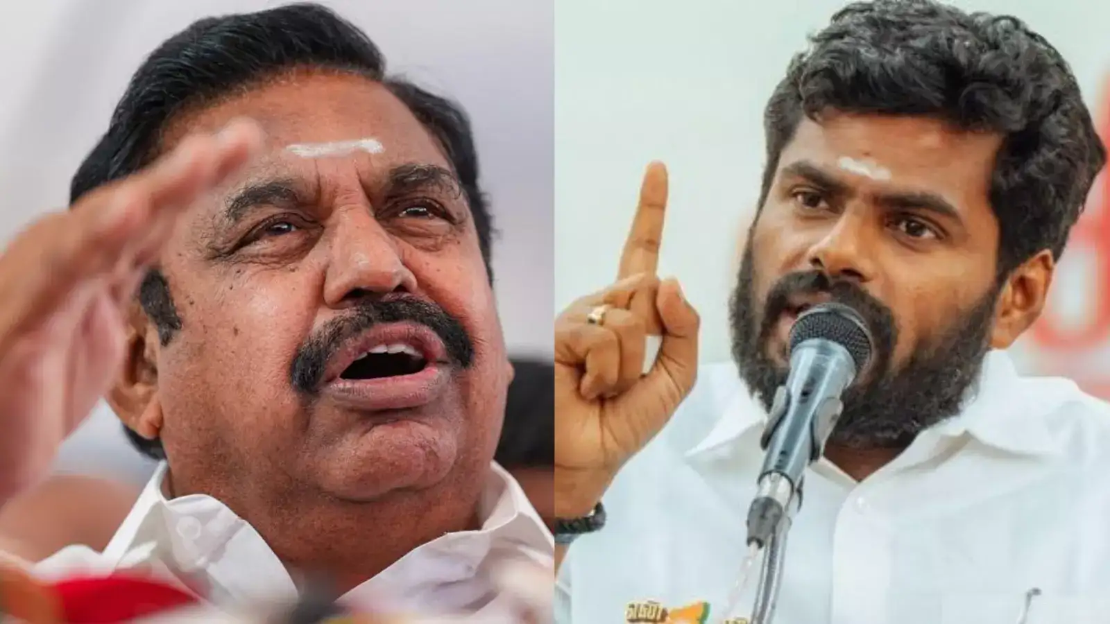 அண்ணாமலை ஒரு அரசியல் ஞானி... 2014 பிளாஷ்பேக் மறந்துட்டார் போல... எடப்பாடி பழனிசாமி அட்டாக்! 