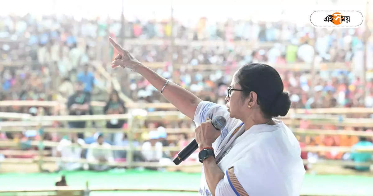 CM Mamata Banerjee : কেউ আত্মহত্যা করলে দায় কার? প্রশ্ন মমতার – cm mamata banerjee raised questions about calcutta high court verdict from east burdwan