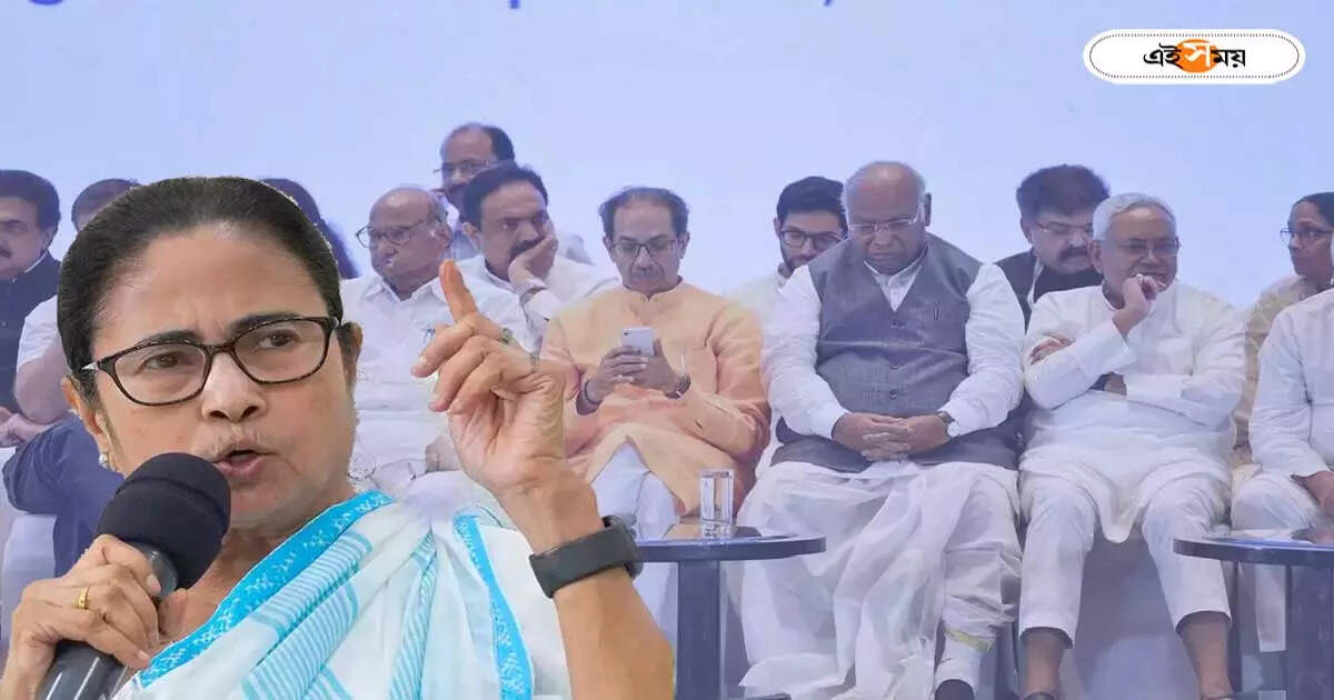 Mamata Banerjee : ‘আমাকে কিছু জানানোই হয়নি…’, ইন্ডিয়া জোটের বৈঠকে না থাকার কারণ ব্যাখ্যা মমতার – mamata banerjee said that she was not informed about the india alliance meeting on 6 december