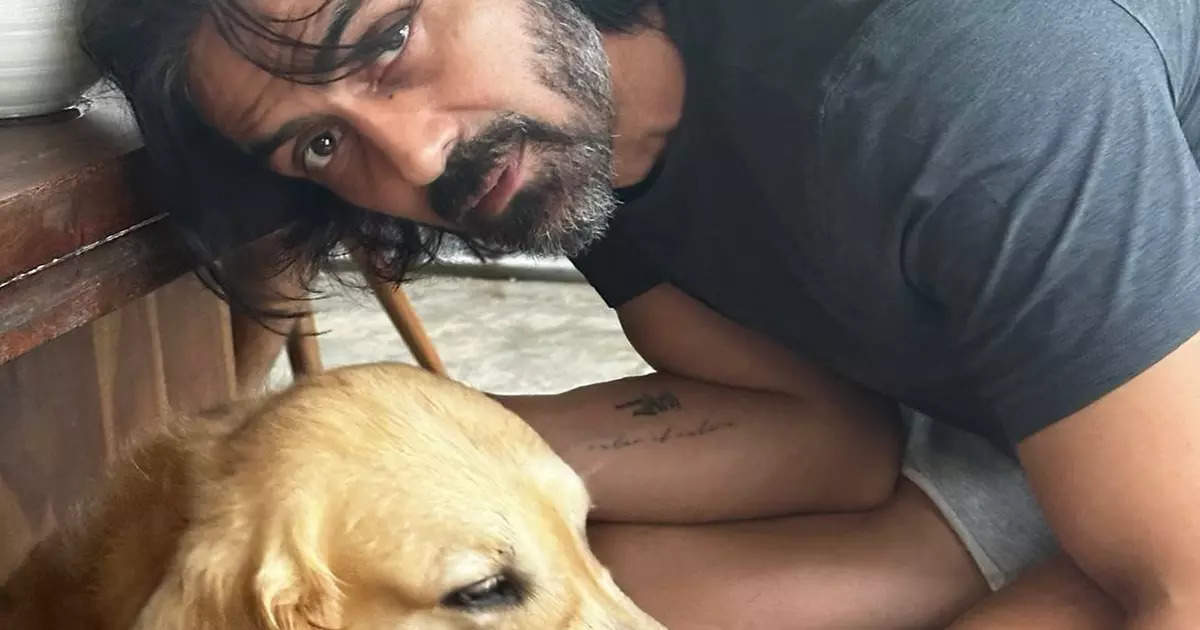 Arjun Rampal Shares a Painful yet Adorable Moment with His Dog Brando on International Dog Day