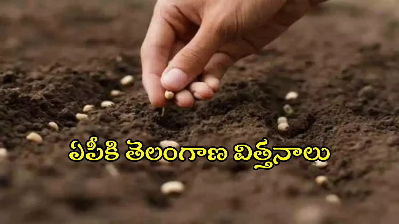 ఏపీకి తెలంగాణ విత్తనాలు.. అచ్చెన్న రిక్వెస్ట్‌కు ఓకే చెప్పిన మంత్రి తుమ్మల