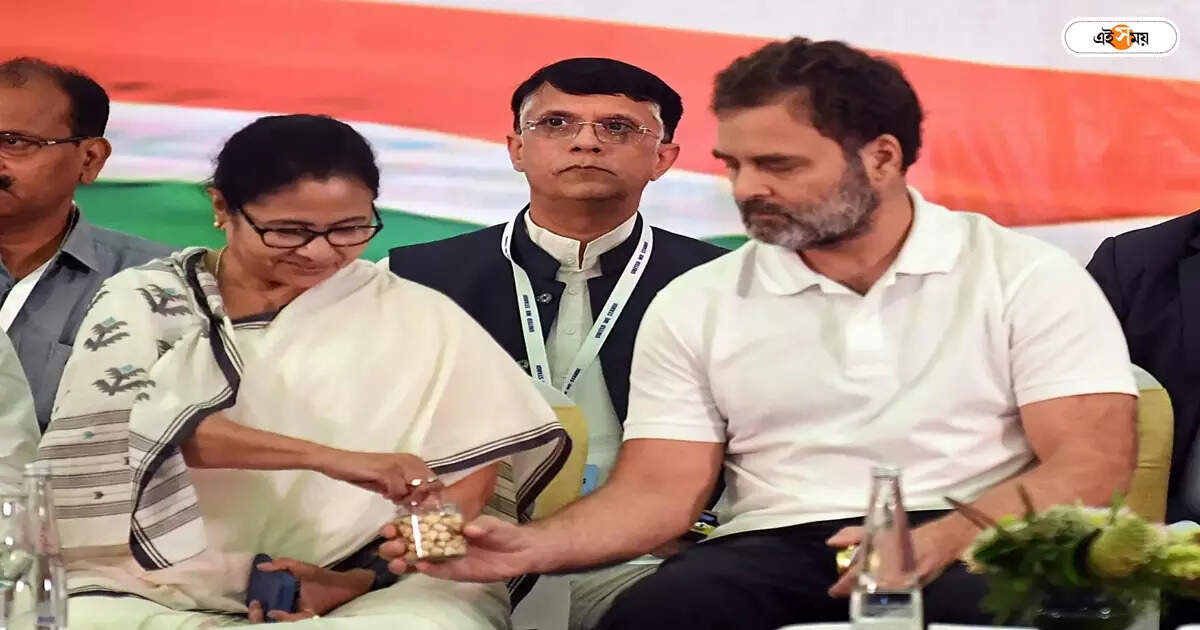 Mamata Banerjee Rahul Gandhi: রাহুলের আদানি নিন্দায় অসন্তোষ মমতার? সূত্রের দাবি ঘিরে জোর চর্চা – mamata banerjee is upset with rahul gandhi over adani criticism without any talks with other leader claims sources