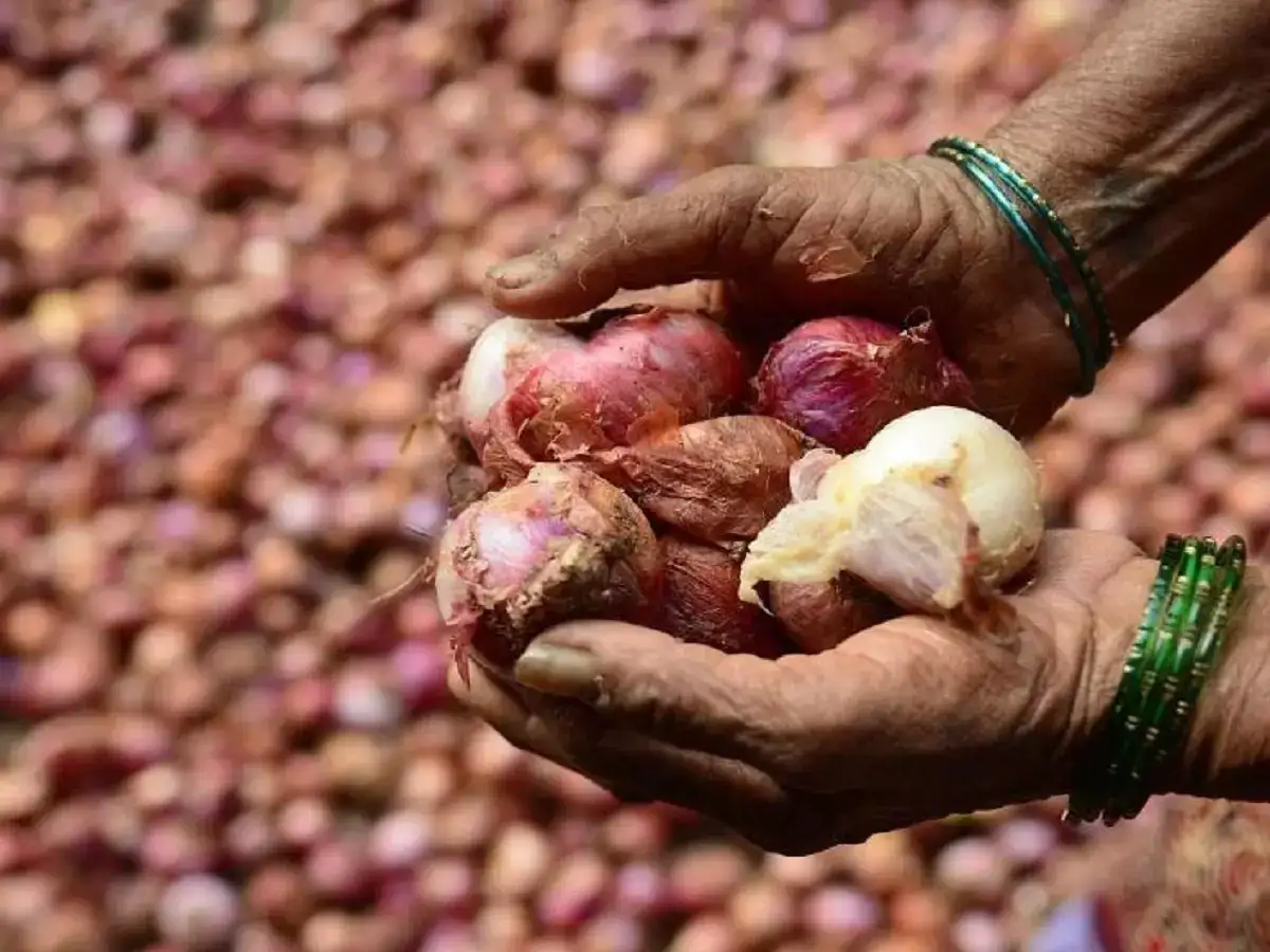 வெங்காயம் விலை உயருமா? பீதியில் மக்கள்.. அரசு நம்பிக்கை! 