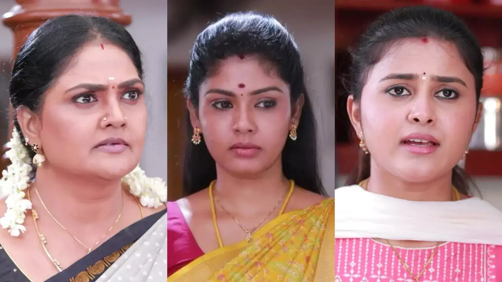 பாண்டியன் ஸ்டோர்ஸ் 2: மீனா மீது கடும் கோபத்தில் கோமதி.. ராஜி சொன்ன வார்த்தை.. கதிர் கொடுத்த ட்விஸ்ட்! 