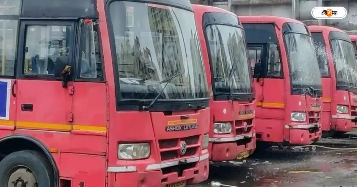 West Bengal Police: বাস চালানোয় গলায় জুতোর মালা, ধৃত ২ – bardhaman police arrest two track driver for harassment of bus driver