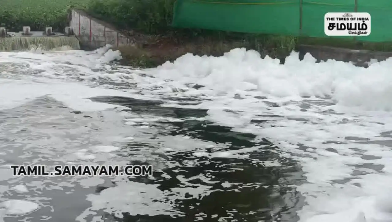 மதுரையில் பொங்கி வரும் நுரைக்கு திரை போட்ட மாநகராட்சி! கடுப்பில் பொதுமக்கள்! 