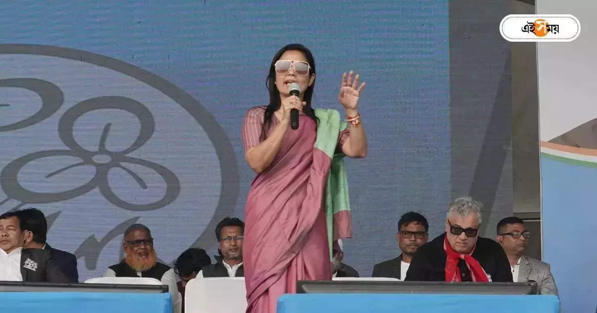 Mahua Moitra : ‘যদি বাংলার জয়গান গাইতে চান, টাকা মেটাবার ব্যবস্থা করুন!’ উত্তরবঙ্গ যাওয়ার আগে বোসকে বার্তা মহুয়ার – tmc leader mahua moitra kalyan banerjee and pradip mazumder going north bengal to meet governor c v ananda bose