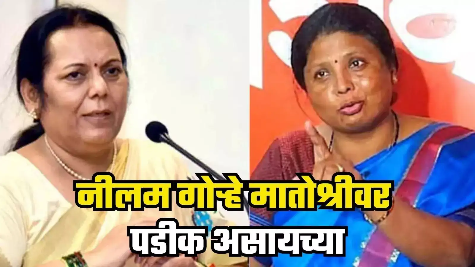 ‘नीलम गोऱ्हे मातोश्रीवर पडीक असायच्या, आमच्या नजरेत चापलुस आणि गद्दार’; सुषमा अंधारेंचं प्रत्युत्तर ‘नीलम गोऱ्हे मातोश्रीवर पडीक असायच्या, आमच्या नजरेत चापलुस आणि गद्दार’; सुषमा अंधारेंचं प्रत्युत्तर
