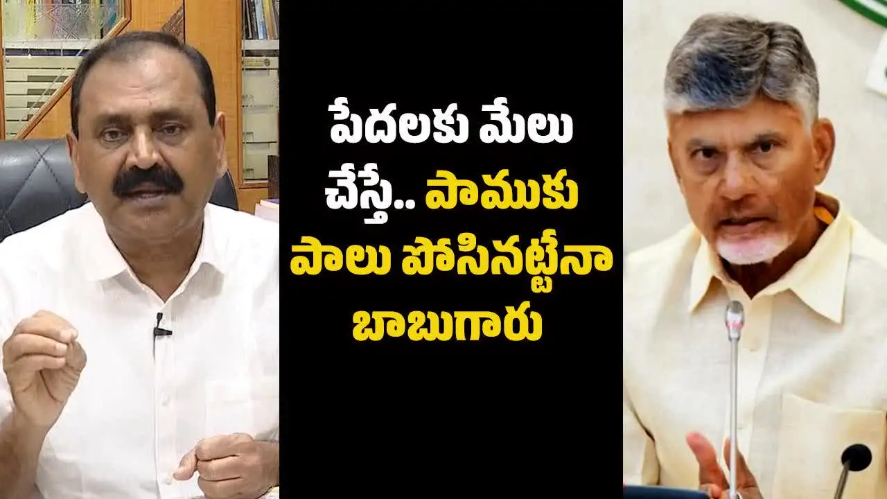 పేదలకు మేలు చేస్తే.. పాముకు పాలుపోసినట్టా.. చంద్రబాబుకు భూమన కౌంటర్లు