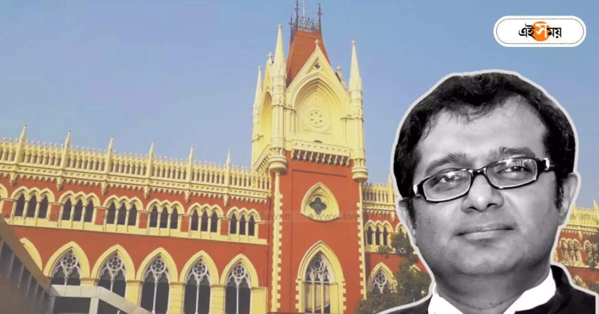 Calcutta High Court : ‘পুলিশ কিন্তু বিপদে পড়বে…’, হাইকোর্টের নির্দেশ অমান্য, রাজ্যকে হুঁশিয়ারি বিচারপতির – calcutta high court justice joy sengupta slams police and state government on lawyer security case
