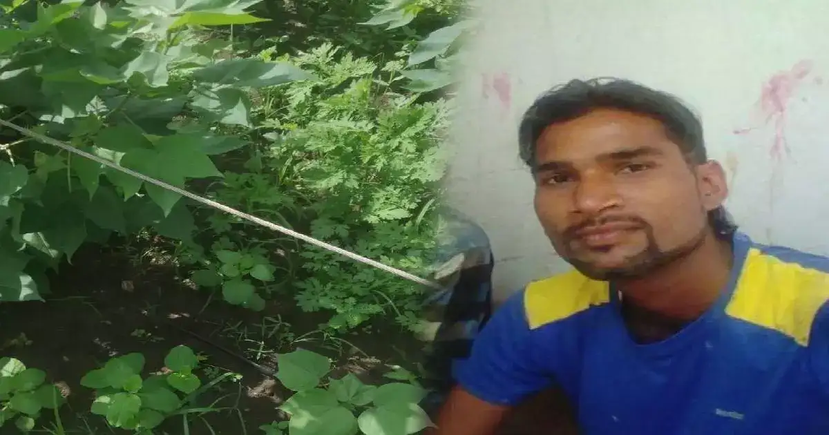 भावानं बहिणीला विजेच्या धक्क्यापासून वाचवलं, त्याचाच पाय तारेवर पडला अन् अनर्थ घडला भावानं बहिणीला विजेच्या धक्क्यापासून वाचवलं, त्याचाच पाय तारेवर पडला अन् अनर्थ घडला