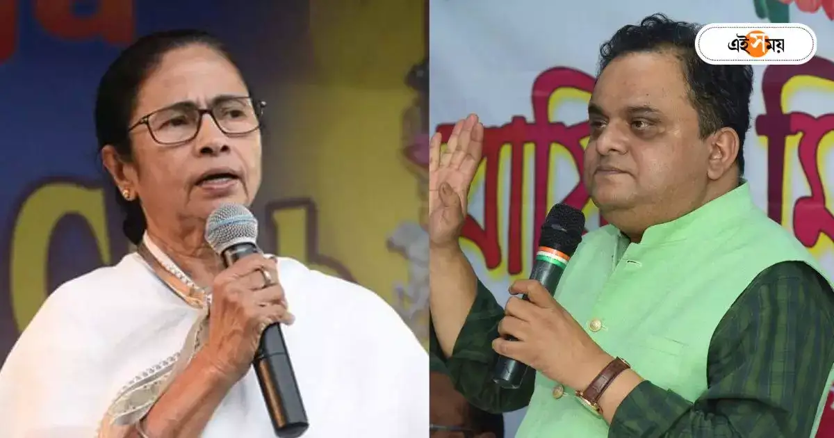 Bratya Basu : ‘চৈতন্যদেবের উত্তরাধিকারী’, মমতা ভজনায় ব্রাত্য – bratya basu west bengal education minister praises mamata banerjee on several issue