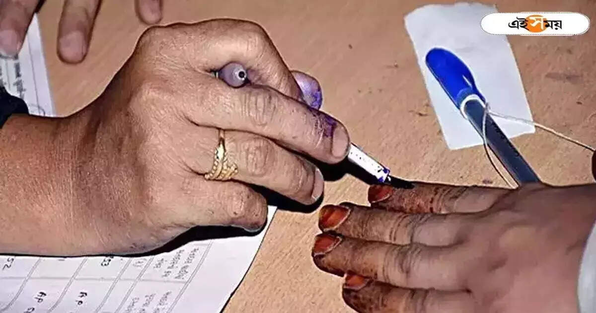 সল্টলেকের একই ঠিকানায় ৫ ভুয়ো ভোটার, কমিশনে জানালেও মেলেনি ফল – five fake voters at the same home address in salt lake
