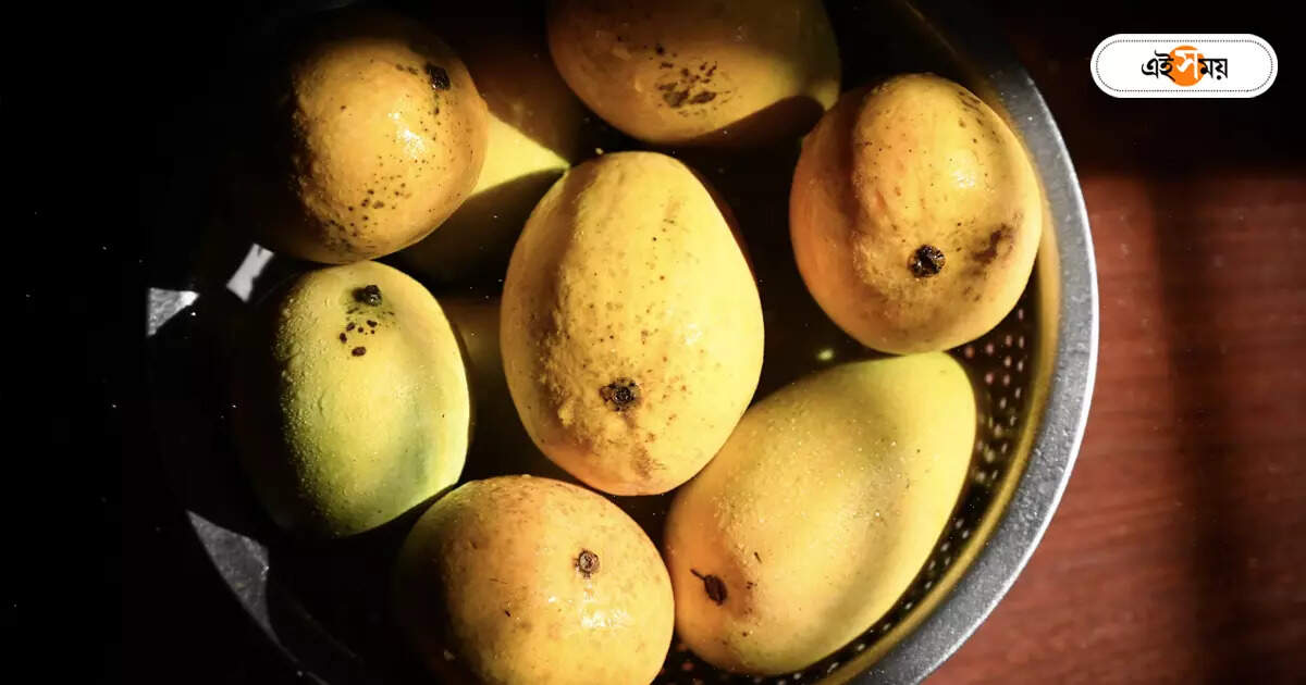 Himsagar Mango : হিমসাগর ১২০ টাকা কেজি, জামাইষষ্ঠীতে আরও বাড়বে? – himsagar mango price 120 taka per kg more increase in jamai sasthi