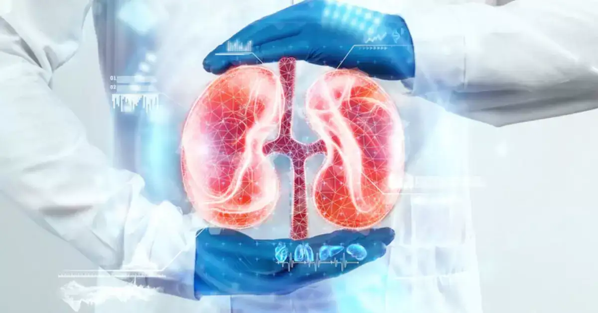Research For Kidney Stone,Kidney Stones: કઠોરમાં કઠોર પથરીને શરીરમાંથી બહાર ફેંકશે આ 5 અસરદાર અને મેડિકલ રિસર્ચ બેઝ્ડ ઉપાય - herbs and remedies for kidney health clinical researches ...