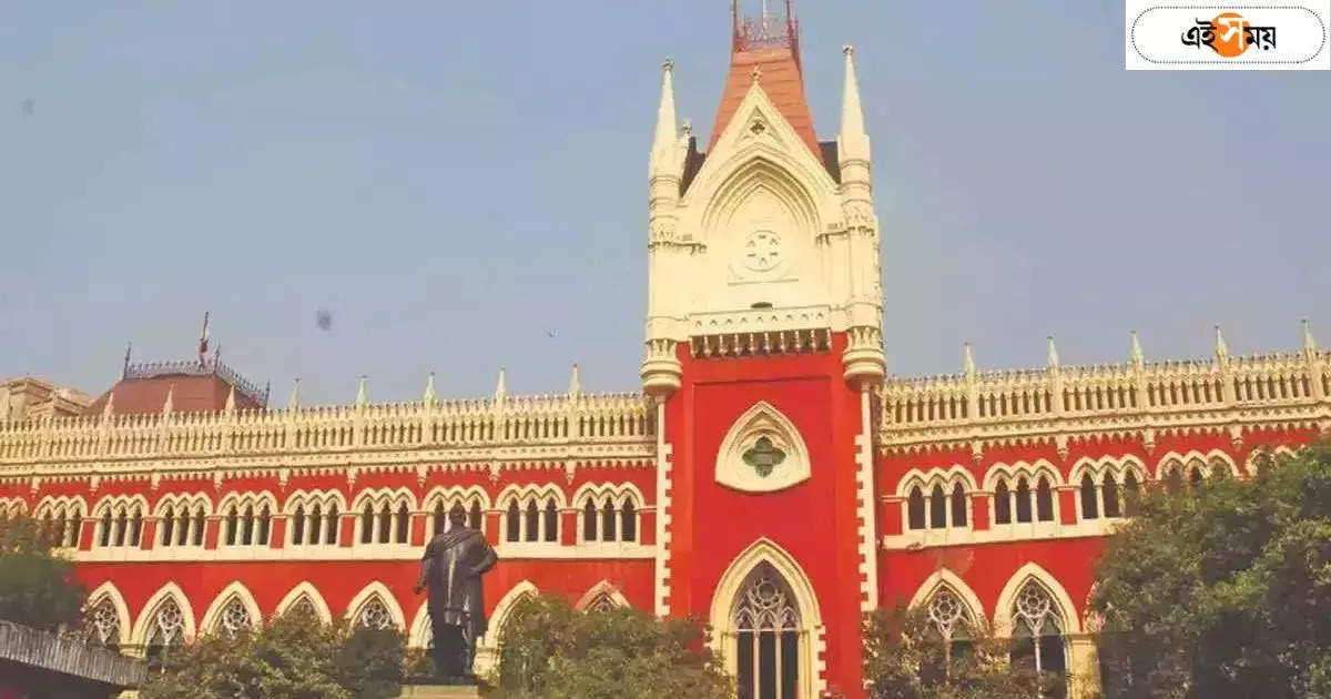 Calcutta High Court : সৌদি আরবে বসে মনোনয়ন, রিটার্নিং অফিসারের কাজ ‘সন্দেহজনক’, মন্তব্য হাইকোর্টের – calcutta high court will give probe order on minkhan nomination submission