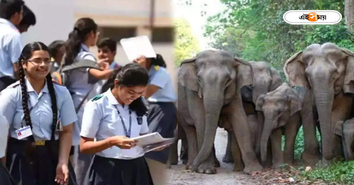 Madhyamik Exam 2024 : গতবারের ঘটনা থেকে শিক্ষা, হাতির হানা থেকে পরীক্ষার্থীদের সুরক্ষায় বিশেষ ব্যবস্থা বাঁকুড়ায় – bankura forest department take several steps to save madhyamik examinee from elephant attack