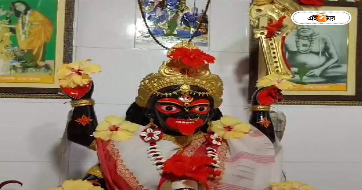 Kali Puja 2023 : পঞ্চমুন্ডির আসনে প্রতিষ্ঠিত হন মা, হিন্দু-মুসলিম একত্রে মাতেন সদানন্দ কালী পুজোয় – bardhaman kalna sadananda moyee kali puja has glorious history