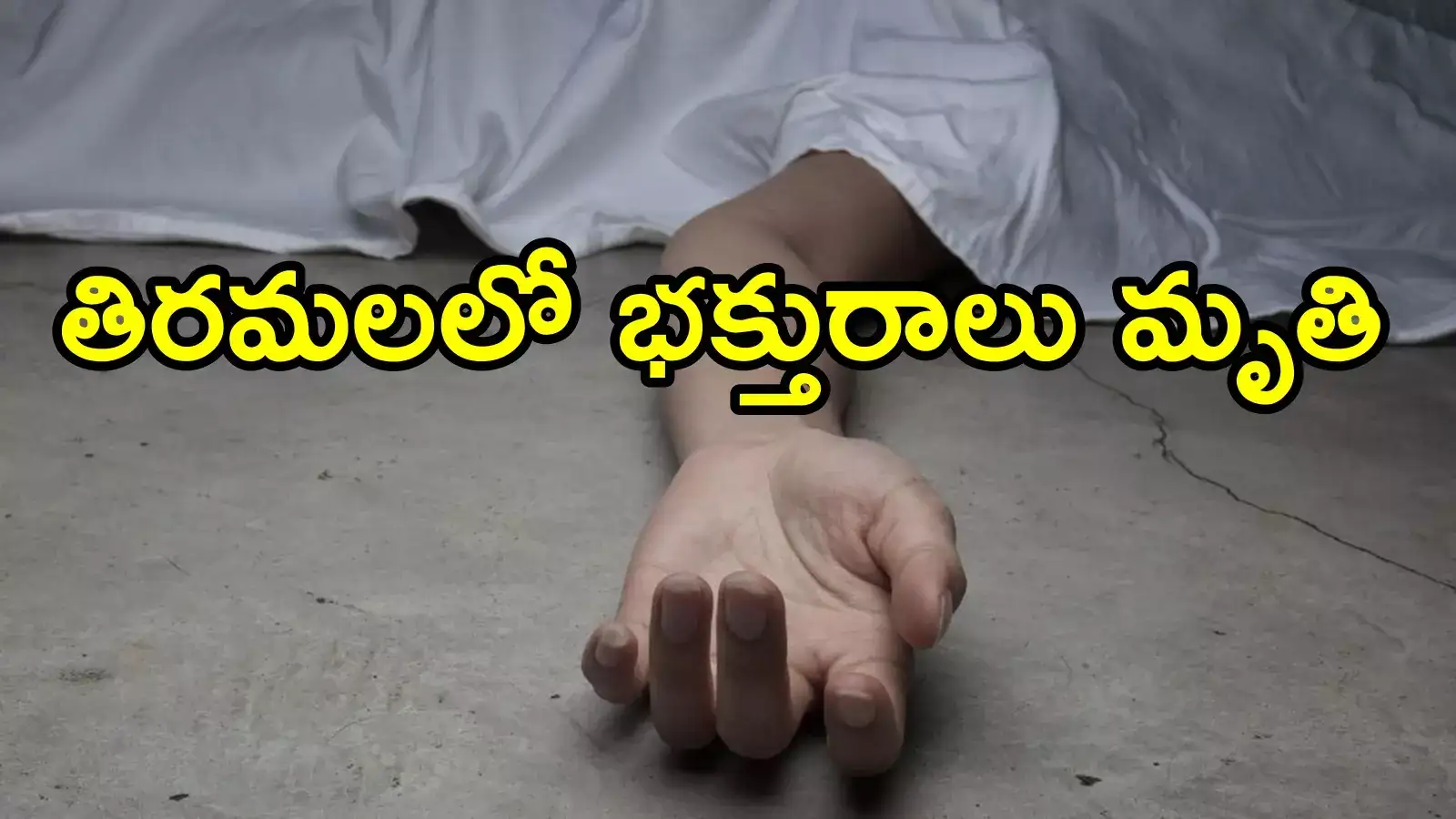 తిరుమలలో తీవ్ర విషాదం.. శ్రీవారి దర్శన క్యూలైన్ కాంప్లెక్స్‌లో భక్తురాలు మృతి