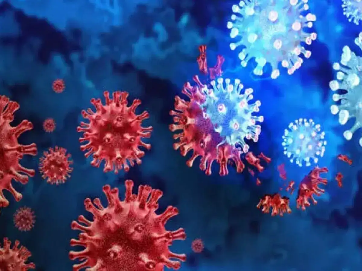 தமிழகத்தில் ஜே.என்.1 வைரஸ்... பரவும் வேகமும், தென்படும் அறிகுறிகளும்... விஜயானந்த் அப்டேட்! 