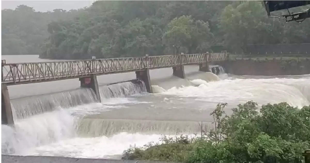 राधानगरी १०० टक्के भरले; कोल्हापुरात ८० बंधारे पाण्याखाली, पंचगंगा धोका पातळीच्या दिशेने