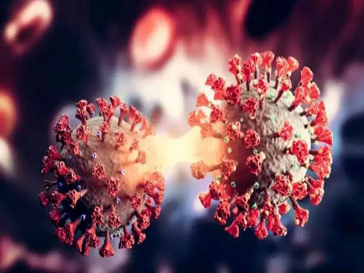 கர்நாடகாவில் கொரோனா பாதிப்பு எப்படி? கேரளாவை விடாமல் மிரட்டும் ஜேஎன்1 வைரஸ்! 