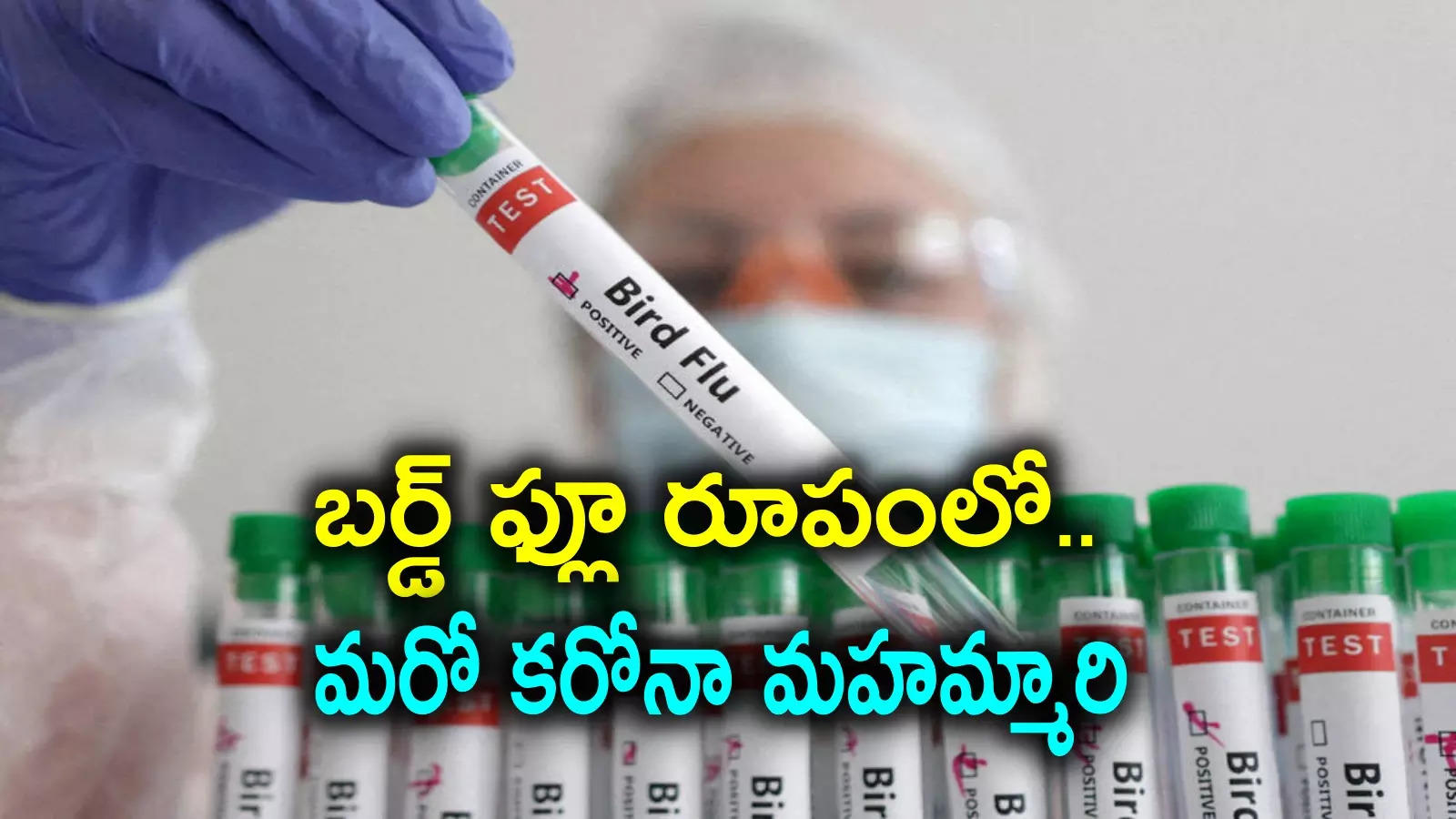 H5N1 avian flu: మనుషుల్లో తొలిసారి తీవ్ర బర్డ్ ఫ్లూ.. కరోనా తర్వాత మహమ్మారి ఇదేనన్న సైంటిస్ట్‌లు