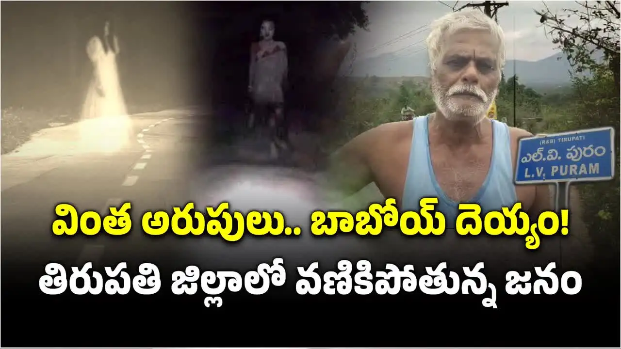 రాత్రిపూట వింత అరుపులు.. వామ్మో! ఈ గ్రామంలో ఈ మిస్టరీ ఏంటి?