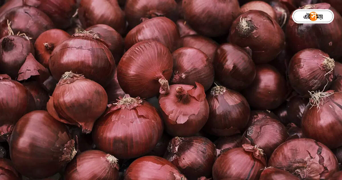 Onion Price,কেজিপ্রতি ৬০ টাকা, দামের হিসাবে পেঁয়াজও হঠাৎ সিনিয়র সিটিজ়েন – onion price crossed 50 taka state government wants to increase production