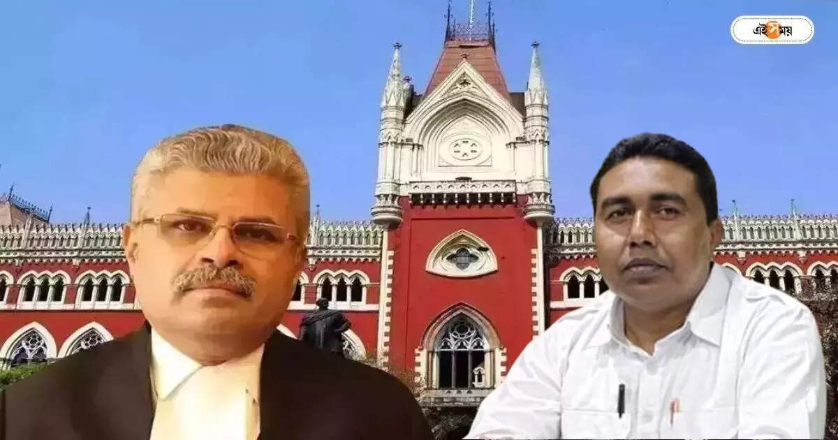 Calcutta High Court Chief Justice: ‘৪৩টি মামলা আছে, ১০ বছর ব্যস্ত থাকতে হবে’, শাহজাহানের আইনজীবীর উদ্দেশে মন্তব্য প্রধান বিচারপতির – calcutta high court chief justice says to sheikh shahjahan lawyer that he will be busy for next 10 years