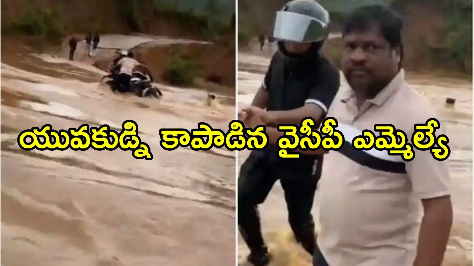 వైసీపీ ఎమ్మెల్యే సాహసం.. ప్రాణాలకు తెగించి యువకుడ్ని కాపాడారు