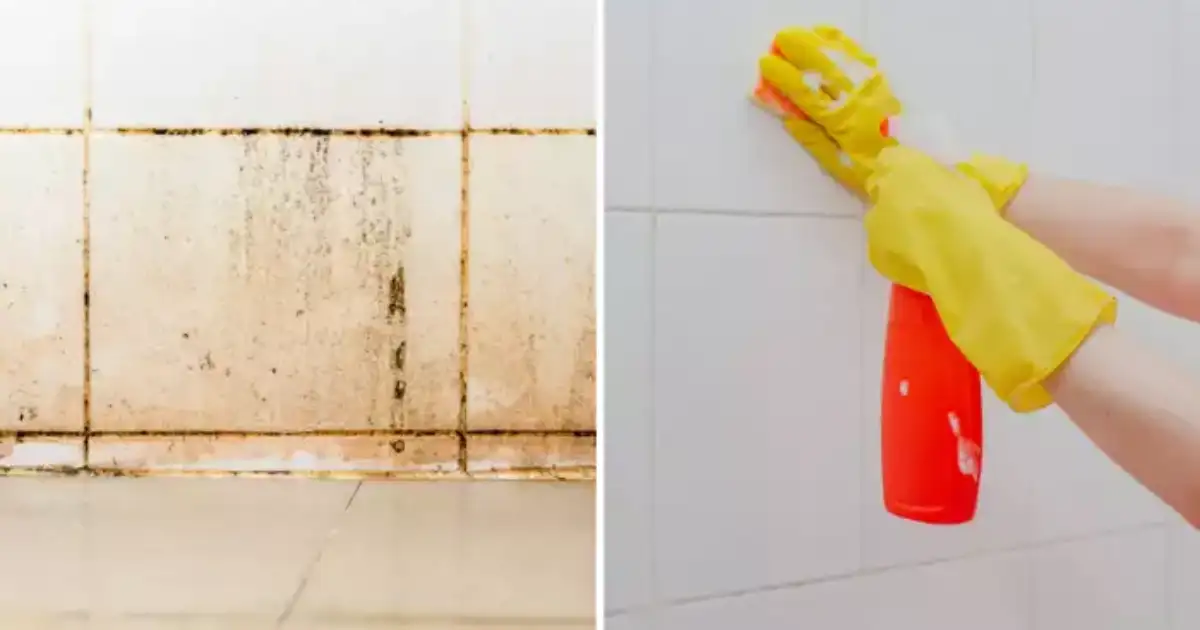 Home Remedies For Clean Bathroom Yellow Tiles : बाथरूमच्या हट्टी पिवळ्याधम्मक टाईल्स स्वच्छ ...