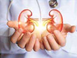 Foods For Kidney,கிட்னி ஆரோக்கியமா இருக்கணும்னா உணவில் இந்த காய், பழங்களை  அதிகமா சேர்த்துக்கோங்க... - 7 fruit and veggies to eat for a healthy kidney  in tamil - Samayam Tamil