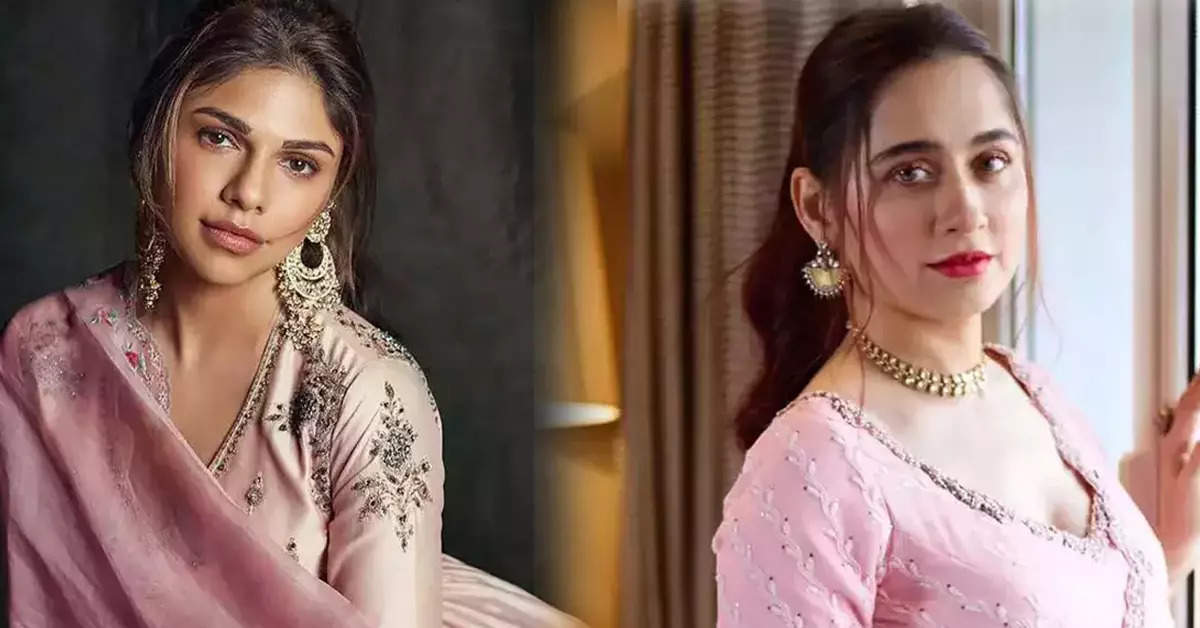 Sharmin Sehgal in trouble for 'insulting' Sanjeeda Sheikh, taunted again! Copy-paste given in response