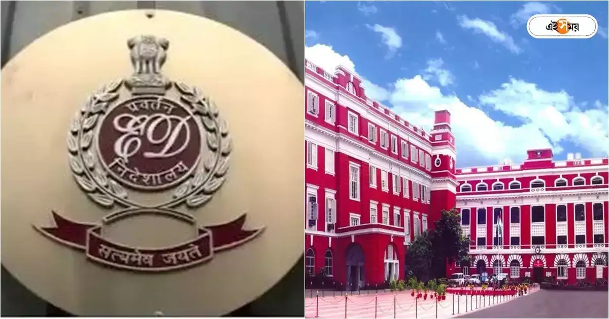 Leaps And Bounds Company: কম্পিউটারে বাইরের ফাইল ডাউনলোড! ইডির বিরুদ্ধেই সাইবারে অভিযোগ লিপস অ্যান্ড বাউন্সের – leaps and bounds pvt limited company employee complain against ed officials at lalbazar cyber police station