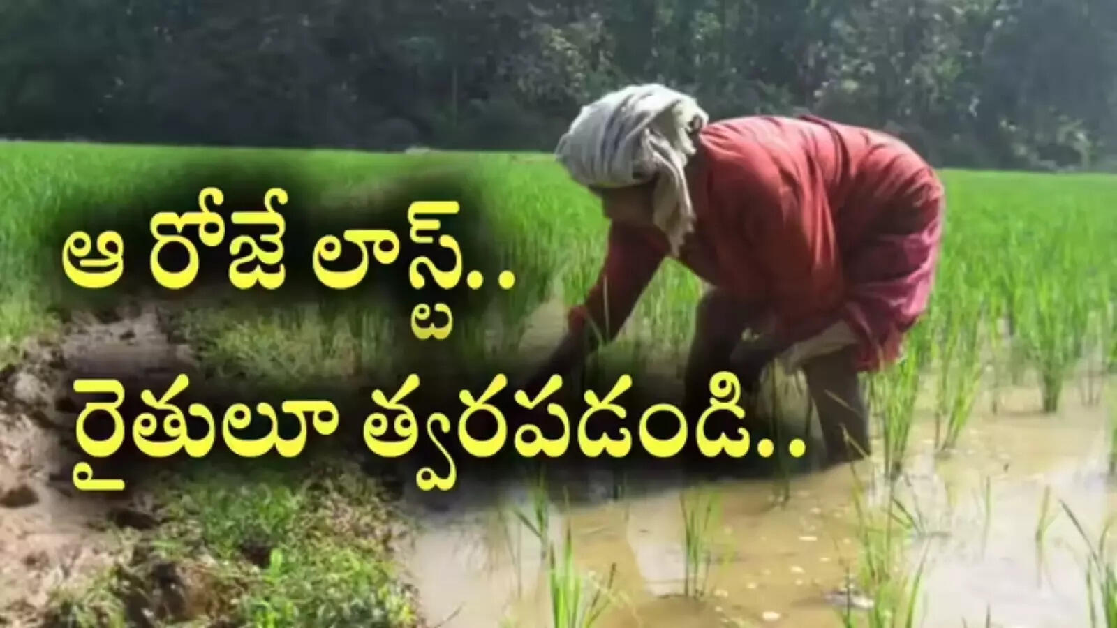 ఏపీలో రైతులకు అలర్ట్.. మరో రెండు రోజులే త్వరపడండి.. లేదంటే డబ్బులు రావు.!
