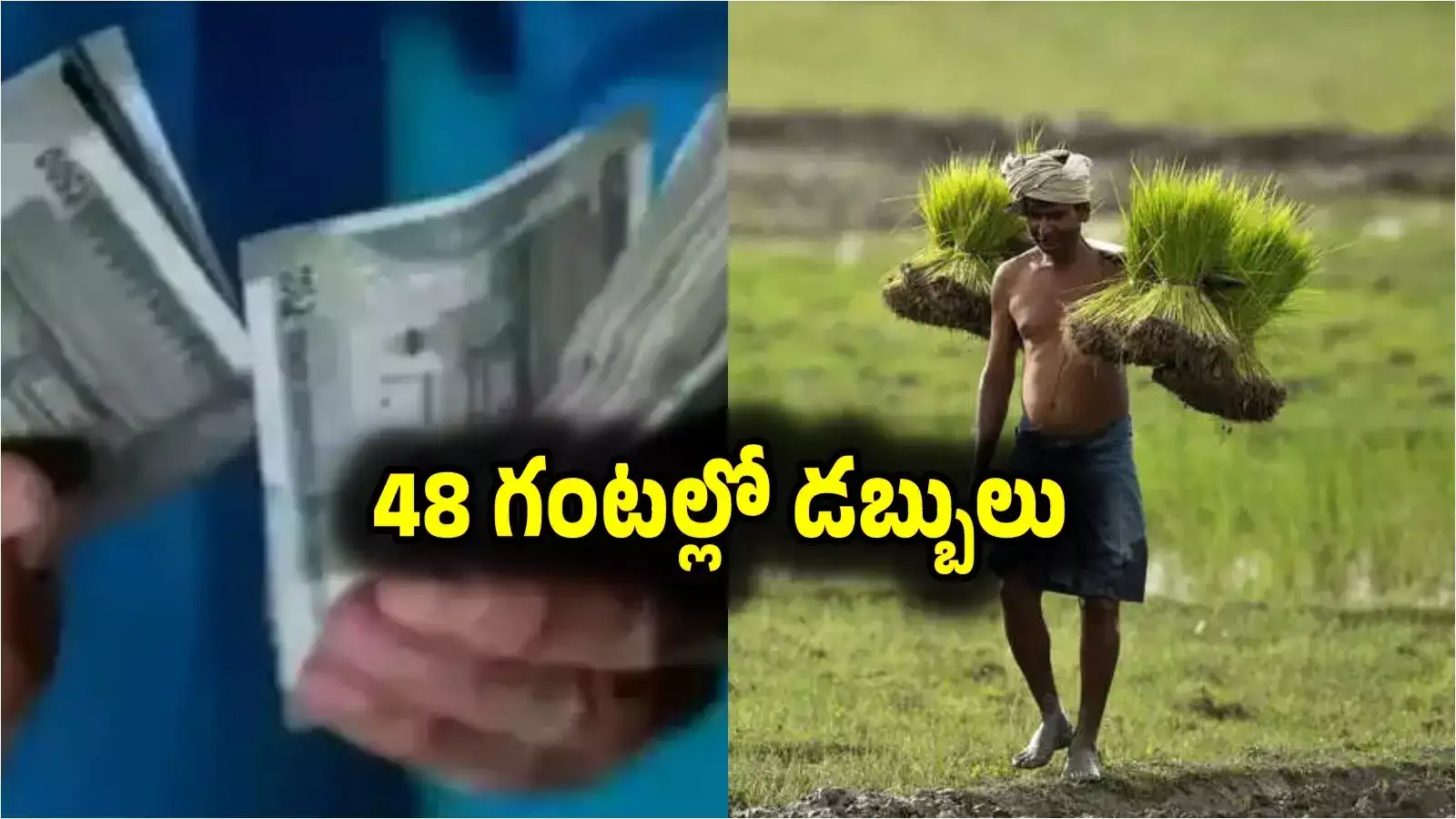 ధాన్యం కొనుగోలు డబ్బులు.. 48 గంటల్లో రైతుల ఖాతాల్లోకి..