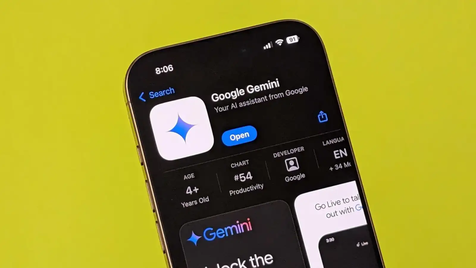 Google Gemini 