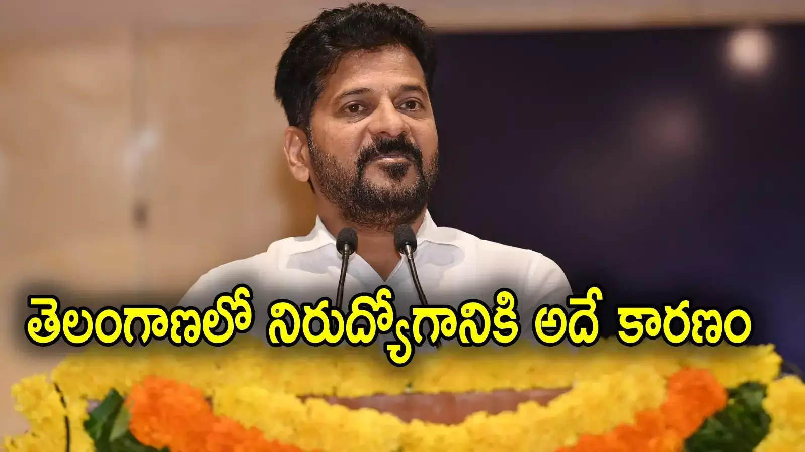 CM Revanth Reddy: 2 లక్షల ఉద్యోగాలిచ్చినా తెలంగాణలో నిరుద్యోగ సమస్య పోదు.. సీఎం రేవంత్ కీలక వ్యాఖ్యలు