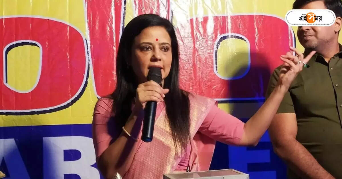 Mahua Moitra News : পুরনো দায়িত্বে ফিরিয়ে মহুয়াতেই আস্থা রাখল তৃণমূল! মুখ খুললেন সাংসদ – mahua moitra trinamool congress mp opens up after getiing new position in trinamool congress