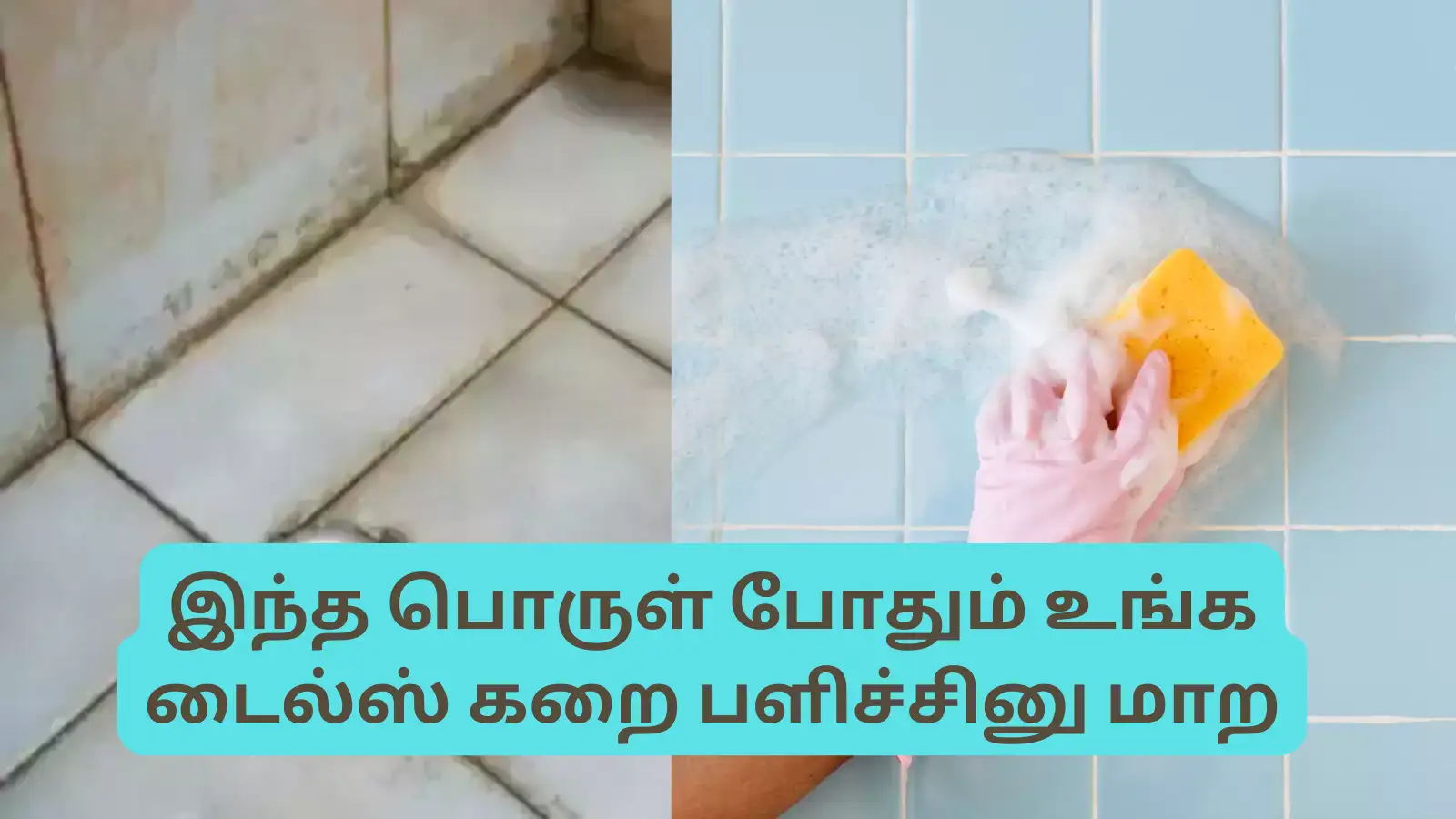 Bathroom Tiles Cleaning Tips : ???????????????????????? ??????????????????, ????????????, ????????????????????? ???????????? ????????????????????? ?????????????????? ??????????????? ?????? ...