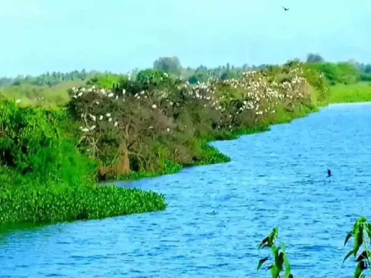 ஈரோட்டில் தமிழகத்தின் 18 வது சரணாலயம் அறிவிப்பு 