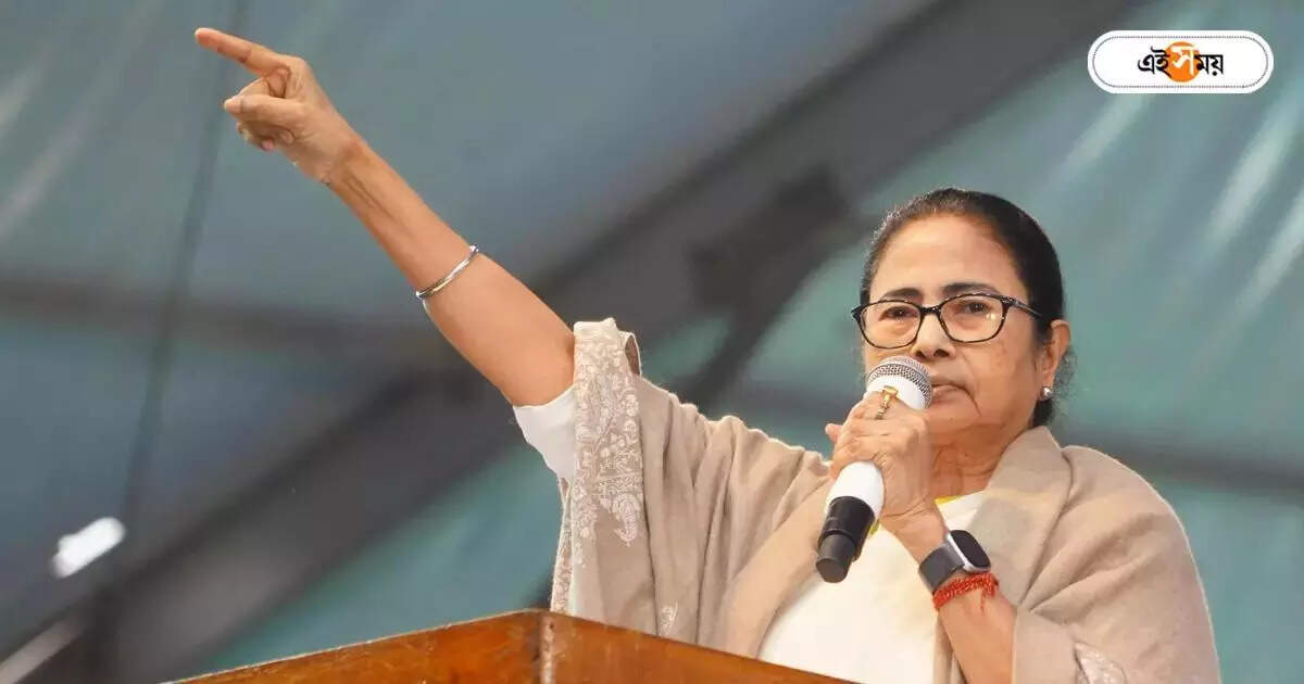Mamata Banerjee : ‘ডিম-মাছ-মংসের দোকান গুঁড়িয়ে দিয়েছে,’ খাদ্যাভ্যাস নিয়ে বিজেপিকে তোপ মমতার – mamata banerjee administrative review meeting at raiganj criticize bjp about food and outfit habit