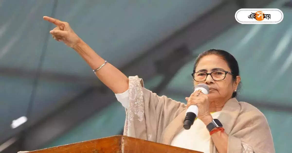 Mamata Banerjee : ‘সীমান্ত এলাকায় আলাদা পরিচয়পত্র দিতে চাইছে BSF,’ বিস্ফোরক অভিযোগ মমতার – mamata banerjee cm criticize bsf at coochbehar program