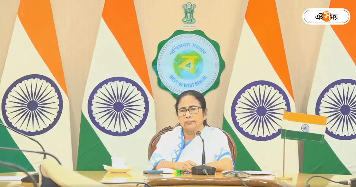 Cesc Bill,শহরে বিদ্যুৎ মাশুল বৃদ্ধিতে বিরক্ত মমতা, প্রশ্নে CESC – cm mamata banerjee questioned cesc hiked power bill in west bengal
