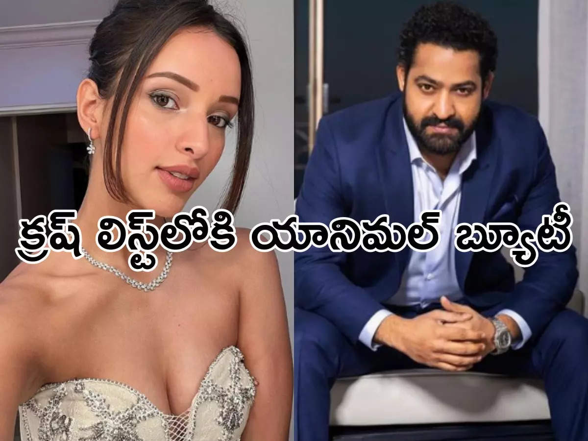 ‘Animal’ Zoya who has lost her mind on NTR.. Tripti Dimri’s video is viral