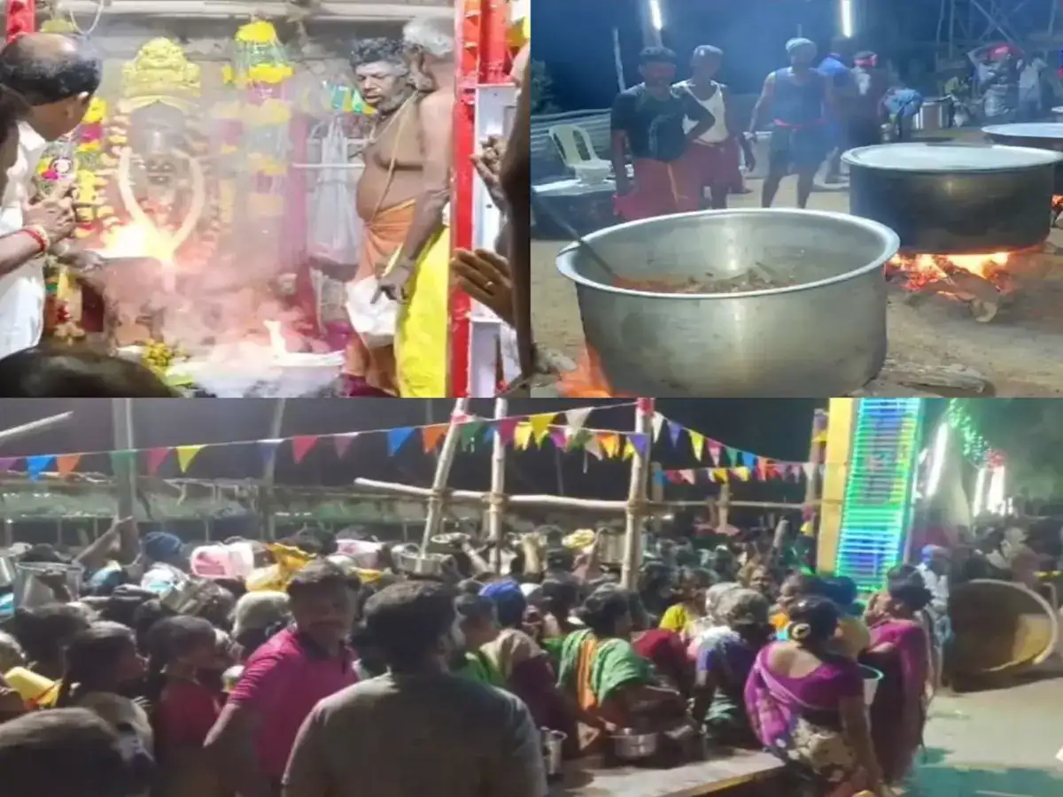 மதுரை வடக்கம்பட்டி முனியாண்டி கோவிலில் மாசி திருவிழா! விடிய விடிய நடந்த பிரியாணி அன்னதானம்! 
